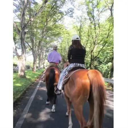 公道での乗馬～ちょっと道草ライド～1名(中学生以上)【1427727】
