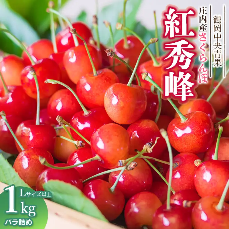 【令和8年産】さくらんぼ 紅秀峰　バラ詰め 1kg　Lサイズ以上　山形県鶴岡市　鶴岡中央青果　| サクランボ チェリー 山形 鶴岡 庄内産 東北 果物 くだもの フルーツ 1キロ 産地直送 甘い 完熟 旬の果物 果実 人気 美味しい お取り寄せ 返礼品