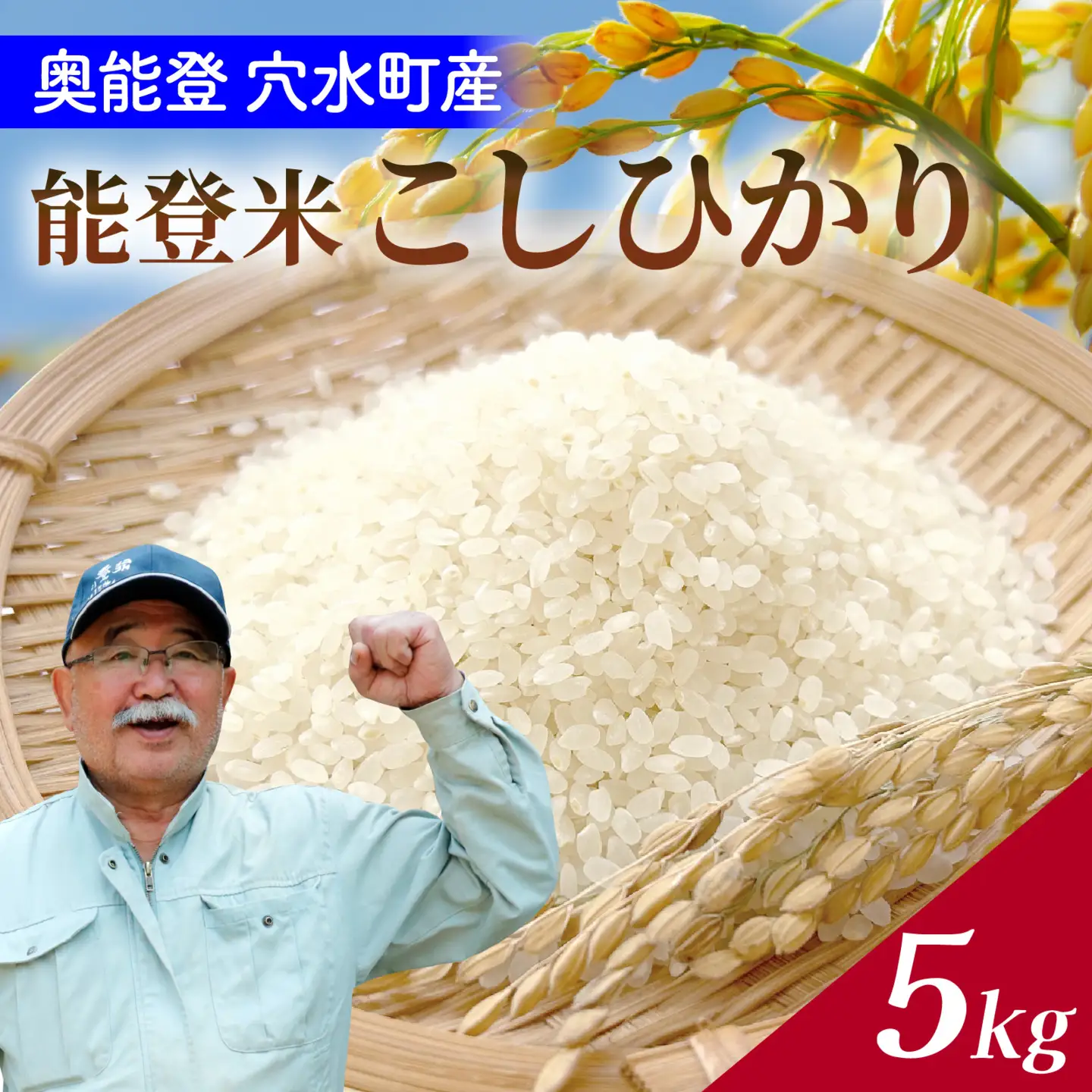 【先行予約】奥能登 穴水産 こしひかり 5kg  / コシヒカリ お米