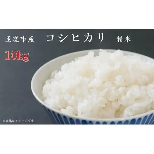 匝瑳市産　コシヒカリ　精米　10kg ／ 米 こめ コメ お米 おこめ コシヒカリ こしひかり 令和7年 白米 精米 ごはん 10kg 送料無料