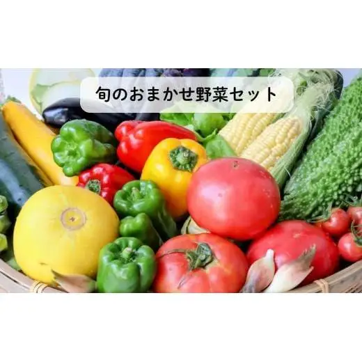 旬のおまかせ野菜セット　4種類以上 ／ 野菜 やさい 旬の野菜 セット 詰め合わせ