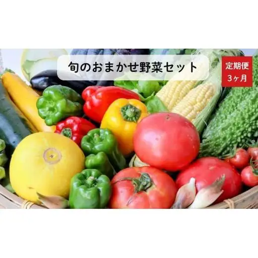 《定期便3ヶ月》旬のおまかせ野菜セット　4種類以上 ／ 野菜 やさい 旬の野菜 セット 詰め合わせ 定期便