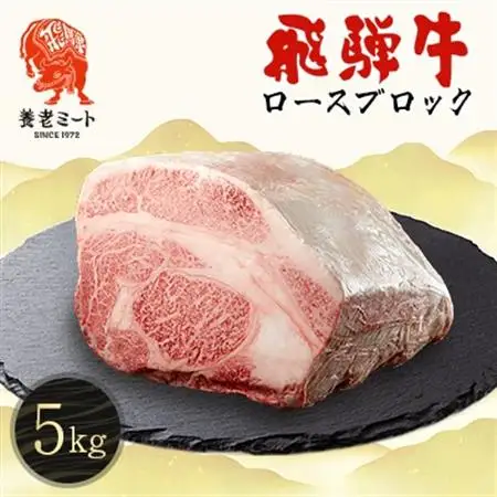 飛騨牛 ロースブロック 5kg【配送不可地域：離島】【1622933】