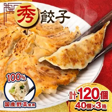秀餃子 120個(40×3箱)2.4kg 国産野菜と肉の新鮮さにこだわった本気のぎょうざ 国産 冷凍_餃子 冷凍 大容量_【配送不可地域：離島】【1622598】