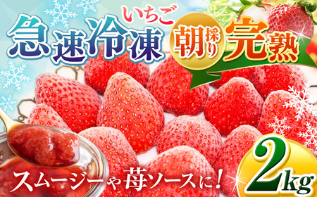 完熟・急速 冷凍いちご 2kg | 渡邉いちご園