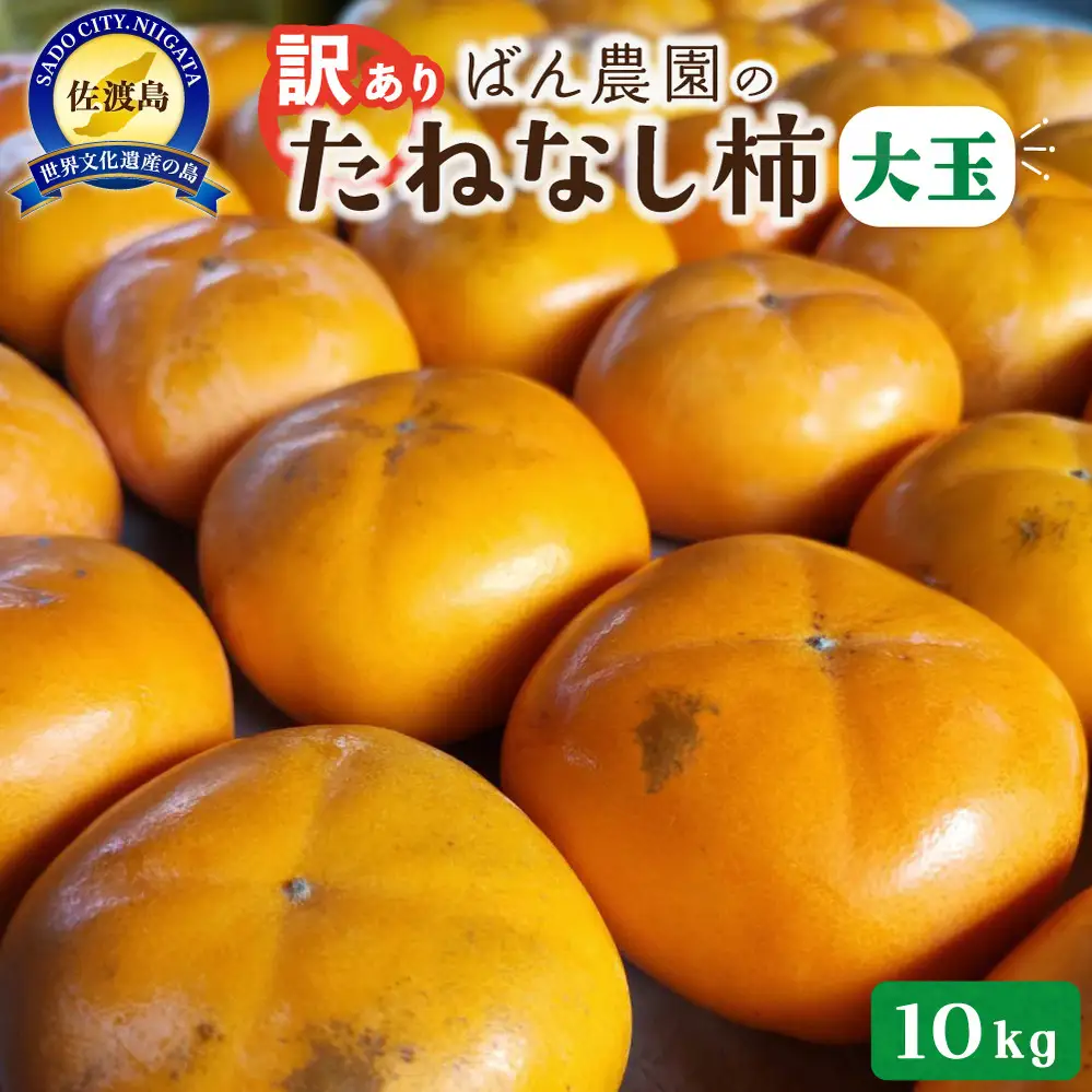 【2026年10月以降発送】訳あり大玉たねなし柿10kg（箱込み重量）佐渡島産