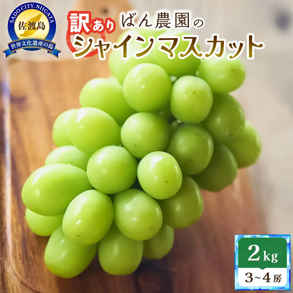 【訳あり】シャインマスカット2kg　3～4房　佐渡島産　