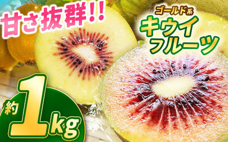 【先行予約】完熟 甘さ抜群のゴールド系 キウイフルーツ 約1kg | 果物 くだもの フルーツ 野菜 やさい ヤサイ キウイ きうい ゴールドキウイ ごーるどきうい 新鮮 フレッシュ 甘い 美味しい フルーツ デザート 栃木県 那珂川町 送料無料