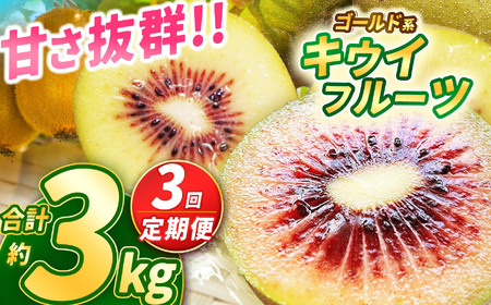 【定期3回】【先行予約】甘さ抜群のゴールド系 キウイフルーツ 約1kg | 果物 くだもの フルーツ 野菜 やさい ヤサイ キウイ きうい ゴールドキウイ ごーるどきうい 新鮮 フレッシュ 甘い 美味しい フルーツ デザート 栃木県 那珂川町 送料無料