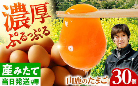 たまご 30個 約2kg【マツヤマエッグファーム】[ZAW003]