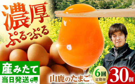 【全6回定期便】 たまご 30個 約2kg【マツヤマエッグファーム】[ZAW007]