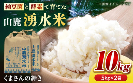 令和7年産白米10kg こば農園のお米くまさんの輝き[山鹿湧水米]白米ZFO003