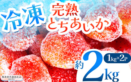  いちご 限定 訳あり 選べる 完熟 冷凍 とちあいか イチゴ  苺 フルーツ 果物 1kg 2kg 3kg 訳あり 不揃い | 選べる 冷凍  スイーツ ジャム スムージー たっぷり 大粒 甘い  デザート 人気急上昇 お買い得 栃木県 那珂川町 送料無料