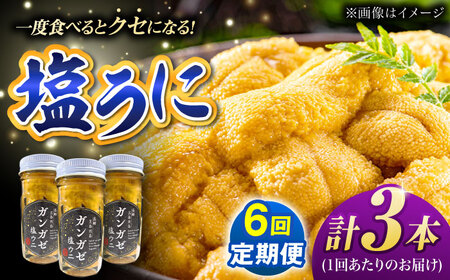 【全6回定期便】ガンガゼ塩うに 70g×3本 / ウニ 雲丹 五島市 / うた丸[PGA004]