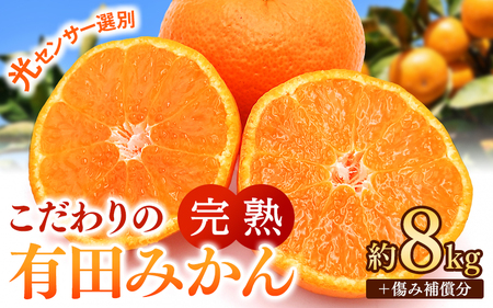 こだわりの 有田 みかん 8kg＋150g(傷み補償分) 【ご家庭用】※北海道・沖縄・離島配送不可 ※2026年11月発送予定 【nuk004-c-8-novH】 