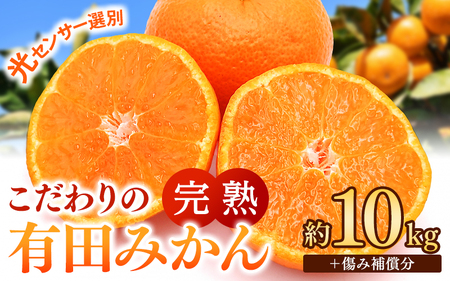 こだわりの 有田 みかん 10kg＋150g(傷み補償分) 【ご家庭用】 ※北海道・沖縄・離島配送不可 ※2026年11月発送予定 【nuk004-c-10-novH】 