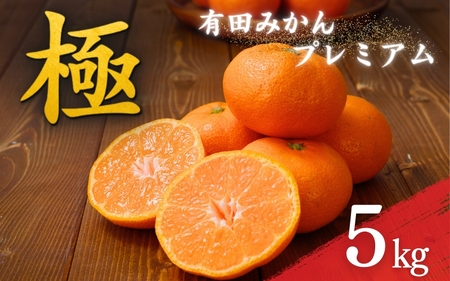 有田みかん 極 プレミアム 5kg (2S～Lサイズ) 光センサー選別 / 温州みかん みかん 甘い 高級 和歌山 柑橘 ※2026年11月下旬～2027年1月上旬頃に順次発送予定 ※北海道・沖縄・離島への配送不可 【nuk004-p-5E】 
