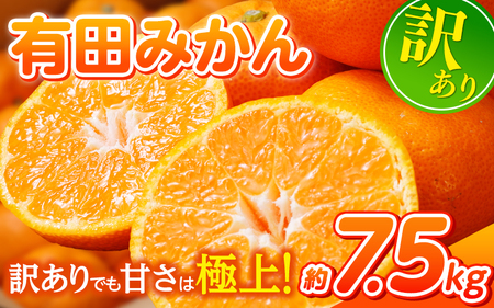 農家直送 有田 みかん 訳あり 7.5kg 光センサー 選別 / 温州みかん 有田みかん 甘い 家庭用 和歌山 柑橘 ※11月中旬～1月中旬に順次発送予定 ※北海道・沖縄・離島への配送不可【nuk004-noka-c7d5B】 
