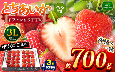 【先行予約】【栃木県共通返礼品】【定期3回】とちあいか 3L以上ホール詰め 約2100g | いちご とちあいか 香貴 朝採れ 大粒 新鮮 甘い  数量 限定 美味しい 果物 共通返礼品 フルーツ デザート 栃木県 那珂川町 送料無料