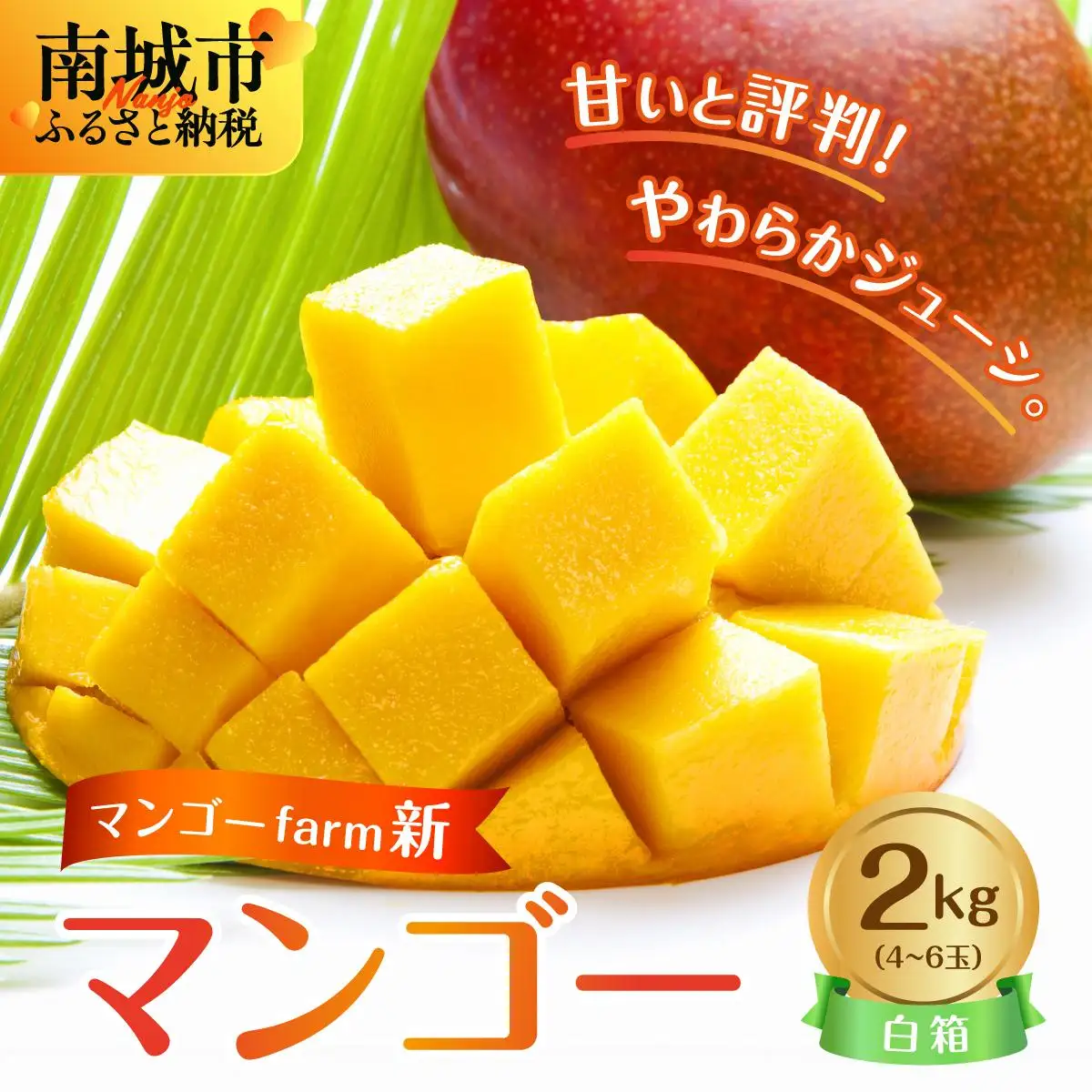 (2026年発送・先行予約)【マンゴーfarm新】 沖縄県南城市産マンゴー白箱2kg   