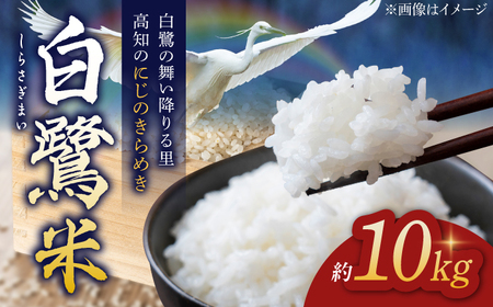 農薬節減！ R7年度産 特別栽培米 白鷺米 にじのきらめき 約10kg ＜2025年9月中旬?発送＞ / 高知 米 お米 精米 　【津ノ宮農園】[ATBV016]