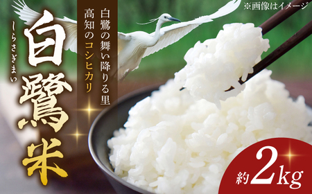 農薬節減！ R7年度産 特別栽培米 白鷺米 コシヒカリ 約2kg ＜2025年9月中旬?発送＞ / 高知 米 お米 精米 　【津ノ宮農園】[ATBV018]