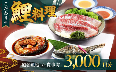 原養魚場 食事券 3,000円分[AOEA001] 鯉料理