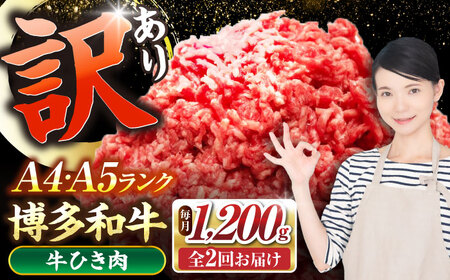 【全2回定期便】【訳あり】 博多和牛 100％ ミンチ (挽肉) 1.2kg（300g×4個） [VDZ096] ひき肉 牛肉 ハンバーグ