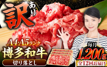 【全12回定期便】【訳あり】【A4-A5ランク】博多和牛 切り落とし 1.2kg（400g×３個） [VDZ123] 国産 カレー 肉じゃが