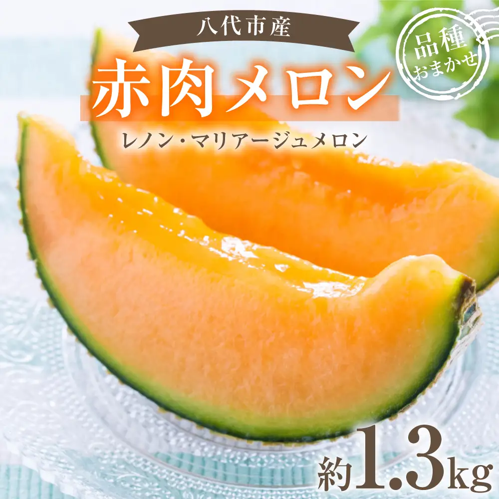 【先行予約】赤肉メロン（レノンまたはマリアージュメロン）約1.3kg 果物 くだもの 旬 ご褒美 季節の果物 赤肉 メロン 八代市産 【2026年6月中旬より順次発送】