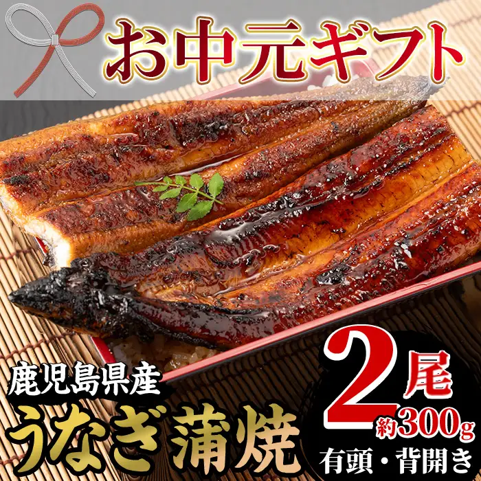 【お中元】国産 うなぎ蒲焼 2尾 約300g うなぎ【00-025-03-R8OC】
