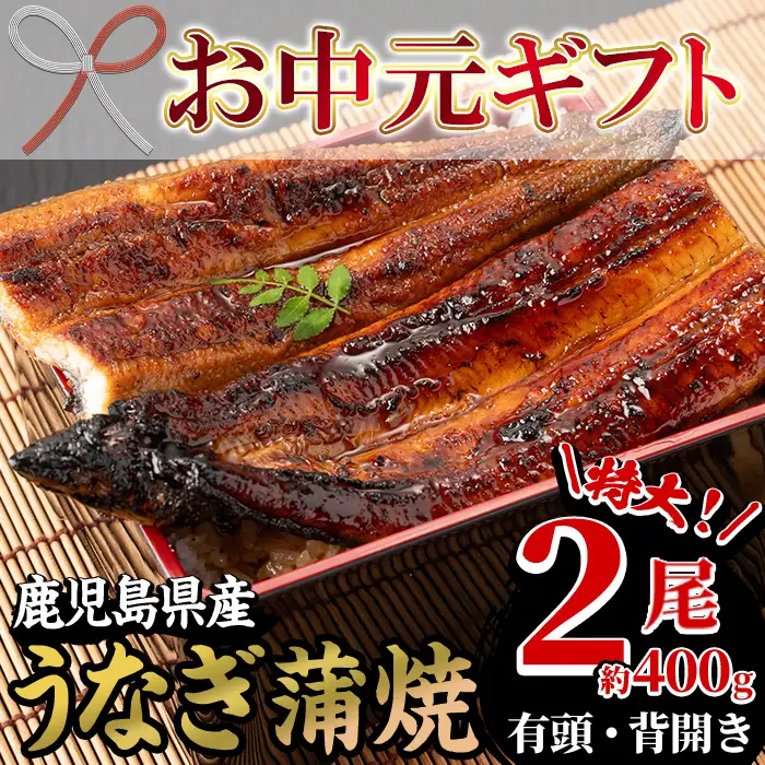 【お中元】国産 うなぎ  蒲焼 特大 2尾 約400g うなぎ 【00-025-16-R8OC】