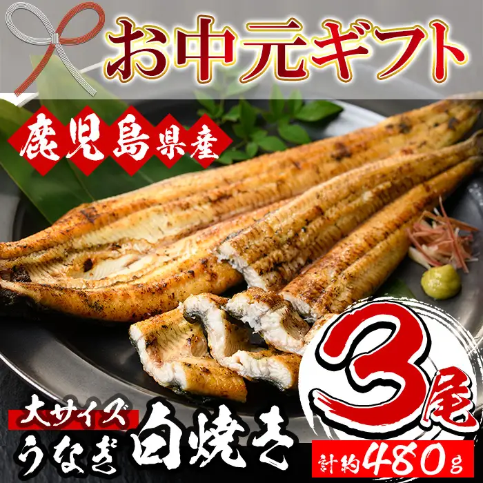 【お中元】国産 うなぎ 白焼き 大 3尾 約480g うなぎ【00-025-08-R8OC】