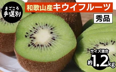 【先行予約】 キウイフルーツ 秀品 約1.2kg サイズ混合 和歌山県産