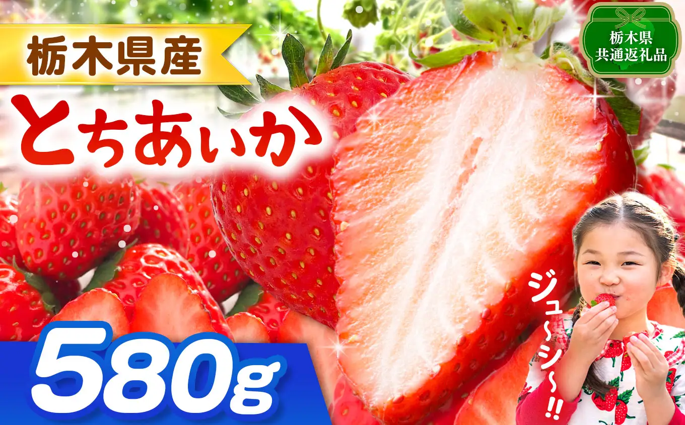 【栃木県共通返礼品】【先行予約】とちあいか 580g | 果物 くだもの フルーツ 野菜 やさい ヤサイ 苺 イチゴ いちご とちあいか 新鮮 甘い 数量 限定 美味しい 果物 共通返礼品 フルーツ デザート 栃木県 那珂川町 送料無料