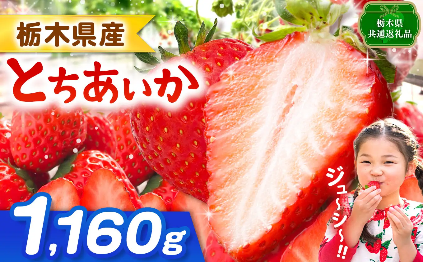 【栃木県共通返礼品】【先行予約】とちあいか 1160g | 栃木県 那珂川町