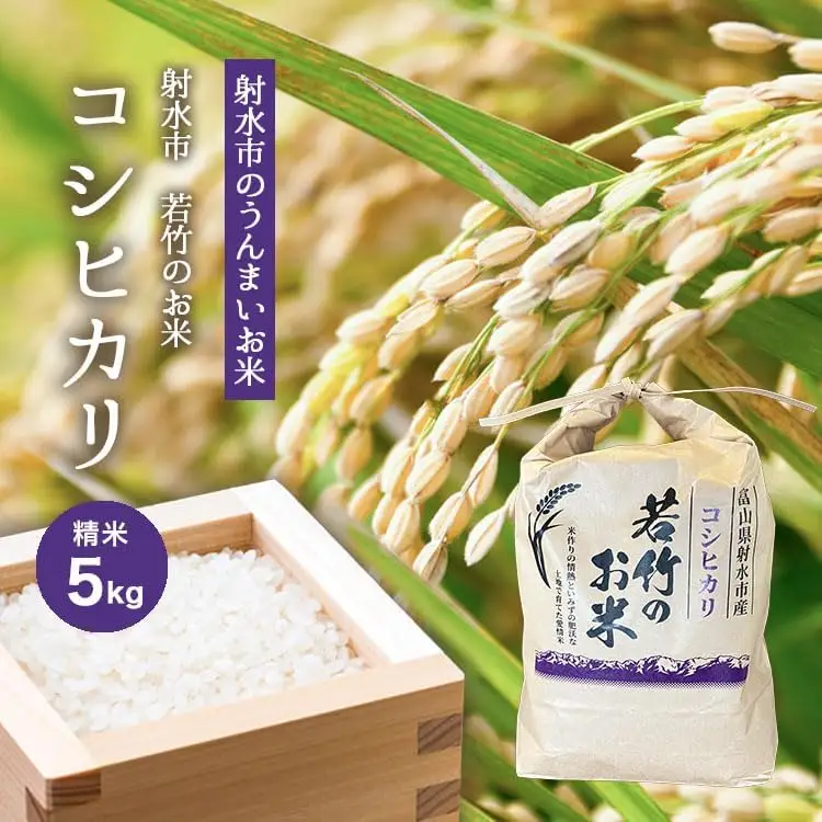 【R8年度産米 新米予約】[人気のブランド米]コシヒカリ「若竹のお米 」　5kg【精米】｜新米 先行予約 令和8年産米 ブランド米 こしひかり 銘柄米 こめ 白米 富山県 ※離島への配送不可 ※2026年10月上旬～10月下旬頃に順次発送予定