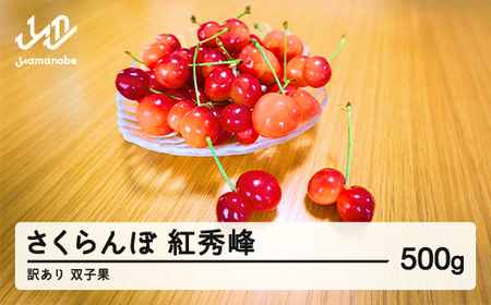 2026年産 山形県産　さくらんぼ　訳あり 双子果 紅秀峰 500g sn-bswxx500