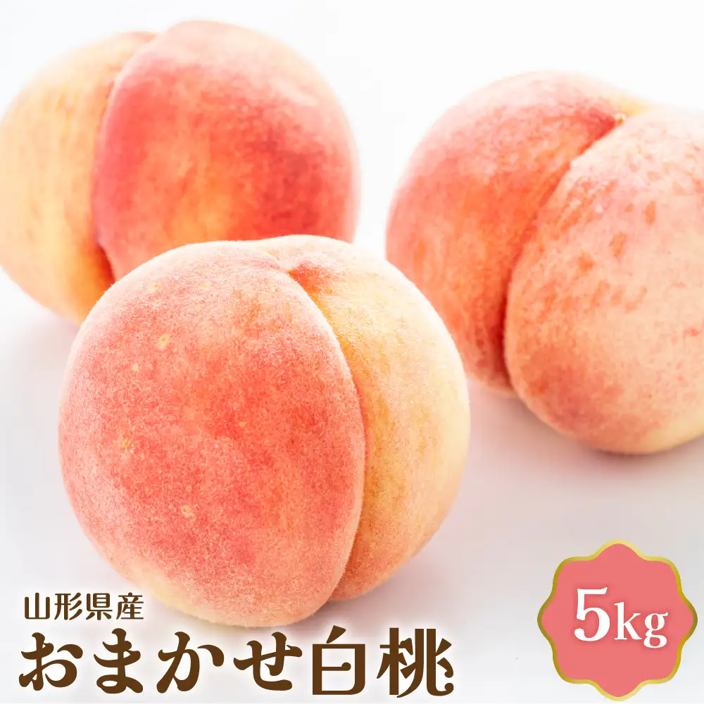 桃 白桃 5kg おまかせ 令和8年産 山形県産 桃 フルーツ