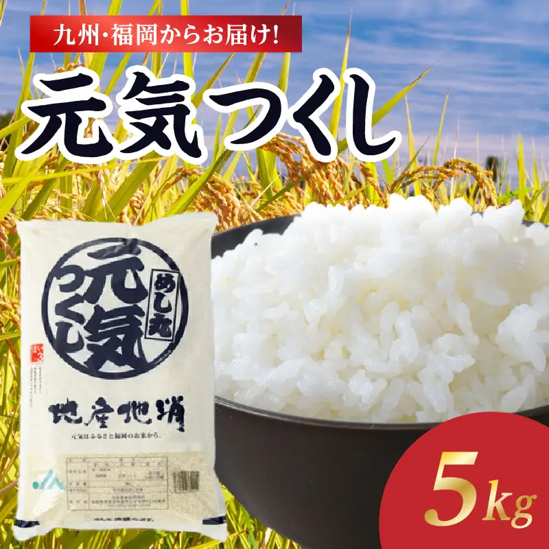 九州・福岡からお届け！ブランド米「元気つくし」5kg×1袋 お米 米 コメ 白米 特A 直送 お弁当 おにぎり 炊きたて ツヤ 粘り もちもち 弾力 卵かけご飯 福岡県 八女市 072-333