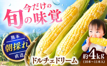 スイートコーン ドルチェドリーム 約4kgBHCJ002 スイートコーン