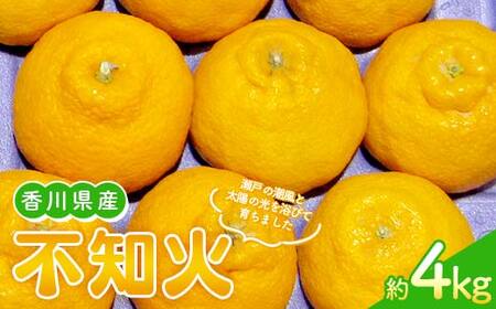 【先行予約 2027年2月～3月頃お届け】不知火(約4kg) しらぬい 柑橘 果物 香川 みかん F5J-954