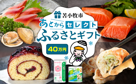あとから セレクト 【 ふるさと ギフト 】 40万円 T000-000-14 肉 魚 野菜 チケット