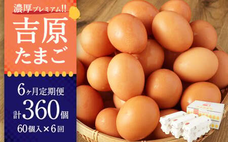 【６ヶ月定期便】濃厚プレミアム！！吉原たまご2箱 30個入り×2箱 計60個（54個＋割れ保証6個） 卵 たまご