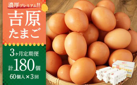  【3ヶ月定期便】濃厚プレミアム！！吉原たまご2箱 30個入り×2箱 計60個（54個＋割れ保証6個） 卵 たまご