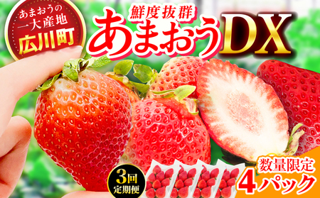 【3回定期便】いちご（あまおう）2ケース / いちご 苺 イチゴ[AFAB081]