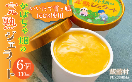 かぼちゃ畑の完熟ジェラート 6個入り  ITTAB001 | ジェラート アイス いいたて雪っ娘かぼちゃ かぼちゃ デザート スイーツ 冷凍 オススメ 福島 飯舘村 |