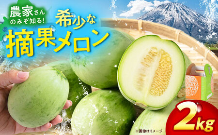 摘果メロン 2kg [AJAM012] メロン