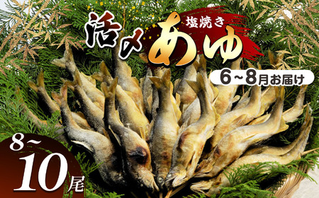 【2026年先行予約】【6月～8月旬の鮎をお届け】活〆鮎塩焼き　発送日当日池上げした活鮎を焼いてお届け | 活〆鮎塩 新鮮活鮎塩焼き 池上げ活〆鮎 6月～8月 活〆鮎 塩焼き発送 活鮎 塩焼き 直送 旬 ギフト ふるさと納税 栃木県 那珂川町 送料無料