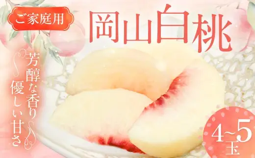 【ご家庭用】 岡山白桃 4~5玉 計約1.2kg 【2026年6月下旬～7月下旬発送予定】 ／ 白桃 桃 もも モモ